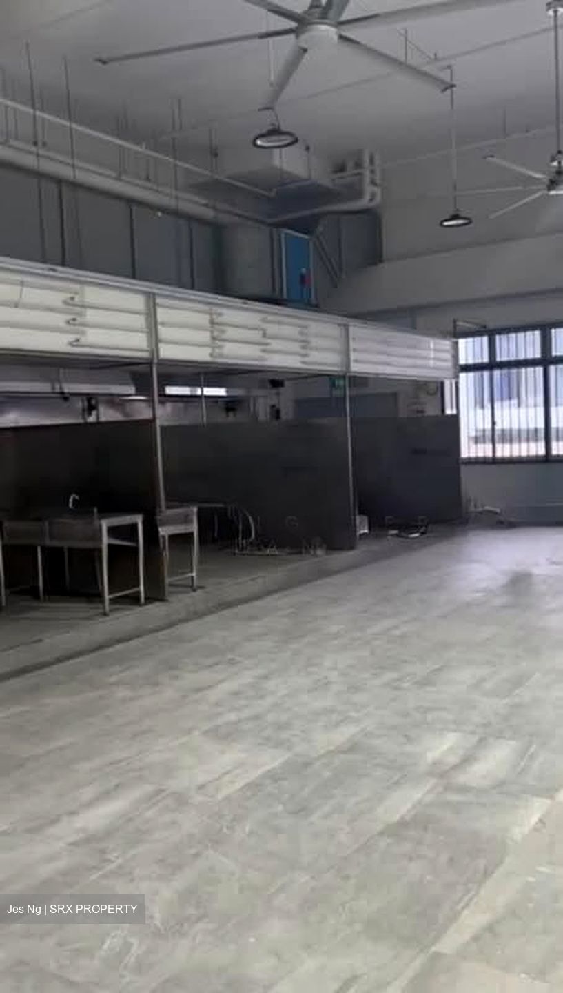 Mandai Connection (D25), Factory #568709281